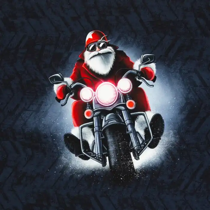 *1 Panel* French Terry Panel “Winter Mood” – Weihnachtsmann – ca. 85 cm – Swafing by Thorsten Berger Preisreduziert