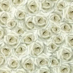 Expressversand Artoz Transparentpapier Crea Motion