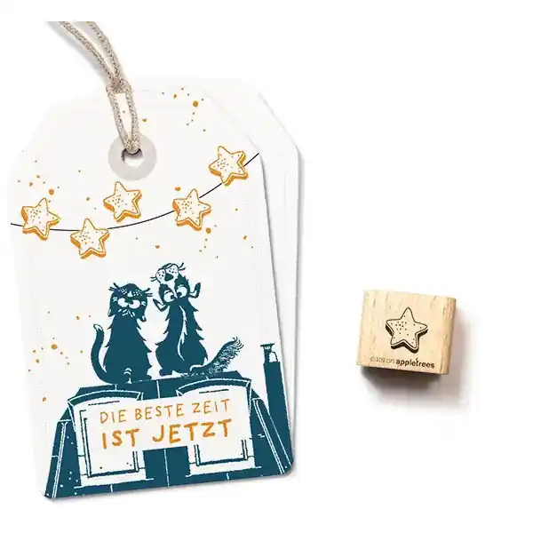 Aktuell Ministempel Zimtstern